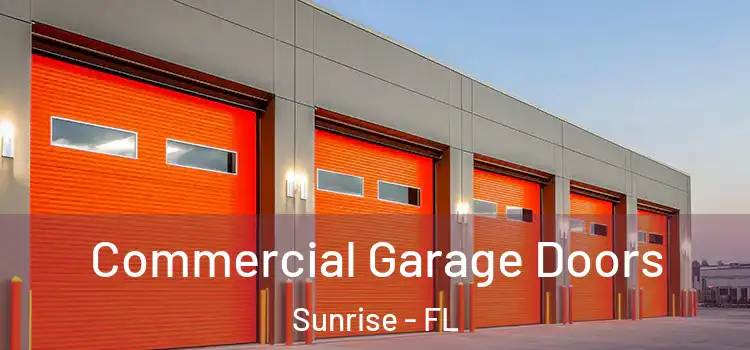  Commercial Garage Doors Sunrise - FL