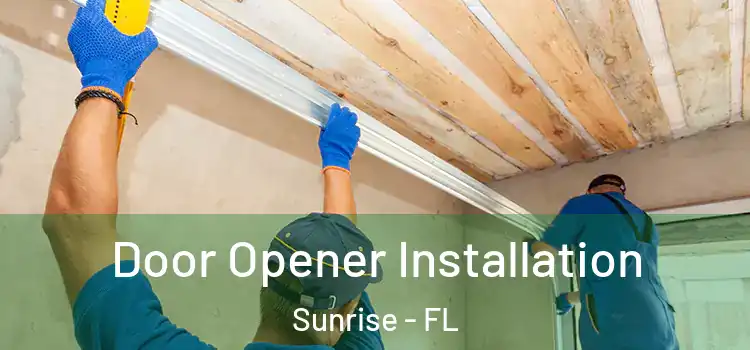  Door Opener Installation Sunrise - FL