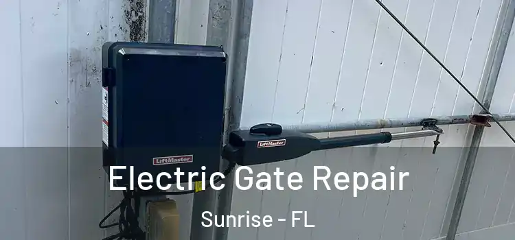  Electric Gate Repair Sunrise - FL