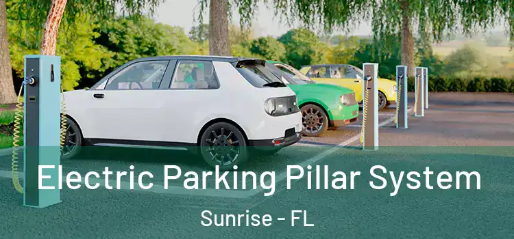  Electric Parking Pillar System Sunrise - FL