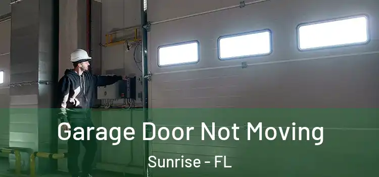  Garage Door Not Moving Sunrise - FL