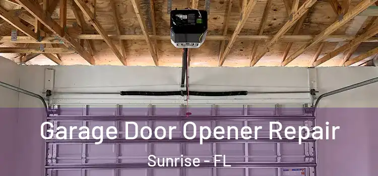  Garage Door Opener Repair Sunrise - FL