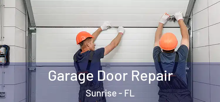  Garage Door Repair Sunrise - FL