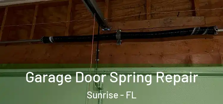  Garage Door Spring Repair Sunrise - FL