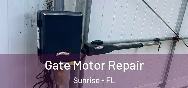 Gate Motor Repair Sunrise - FL