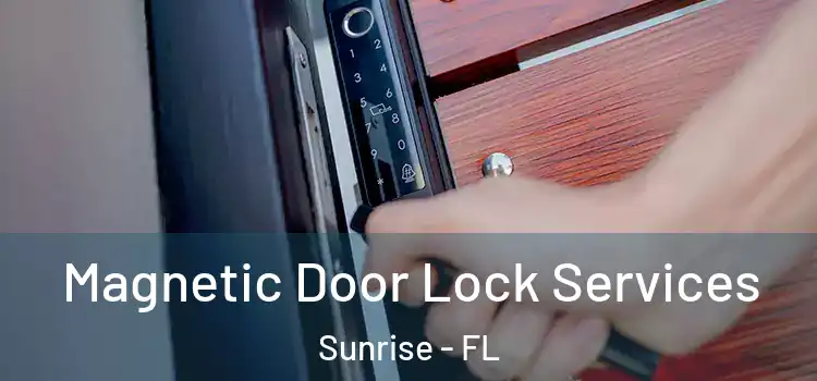  Magnetic Door Lock Services Sunrise - FL